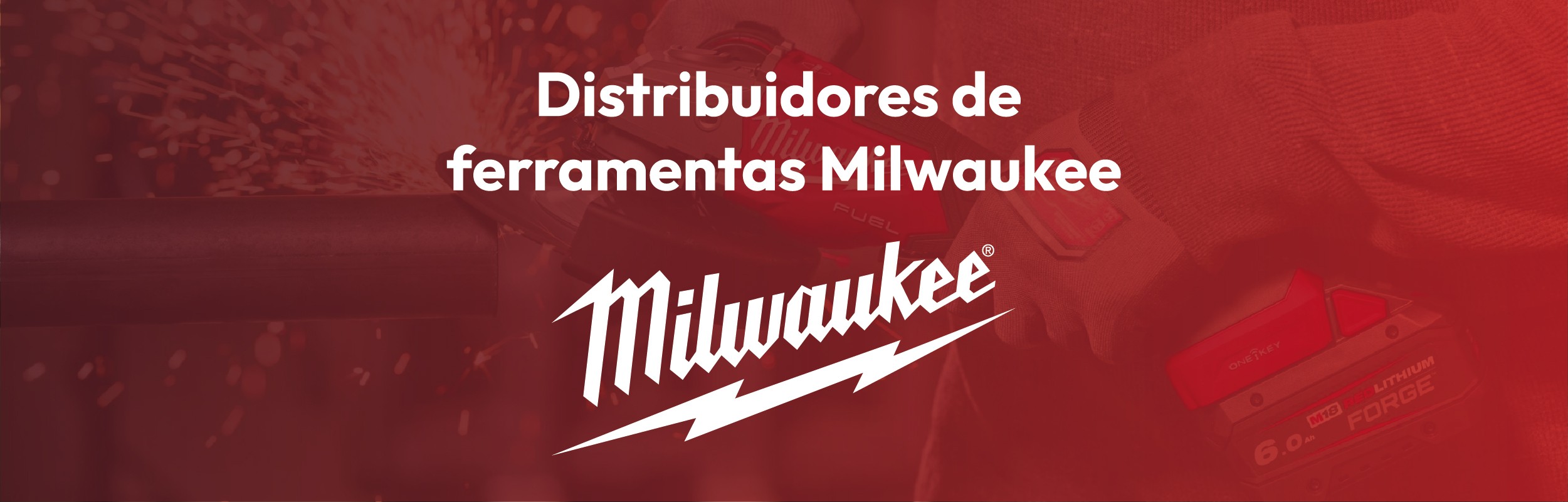 Distribuidores de ferramentas Milwaukee